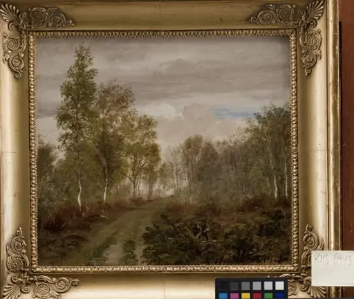 Birketræer på Læsø efter regn, by Unknown