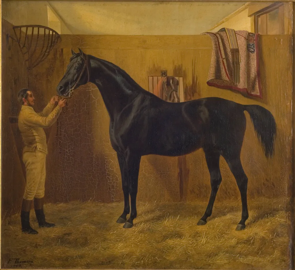 Black Comet, by Unknown, 1849