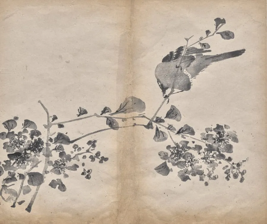 Blossoms, by Unknown, 1625
