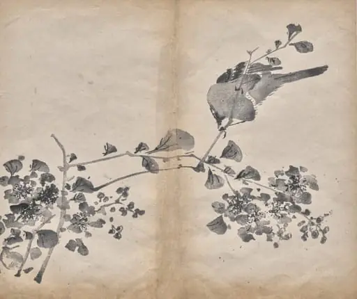 Blossoms, by Unknown