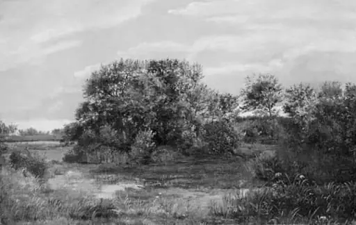 Bog on a Wooded Islet, by Unknown
