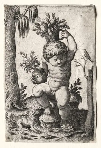 Boy with Fruit Basket, by Unknown