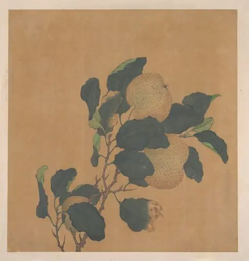 清   佚名   秋梨圖   冊頁|Branch of Tree with Fruit, by Unknown, 1777