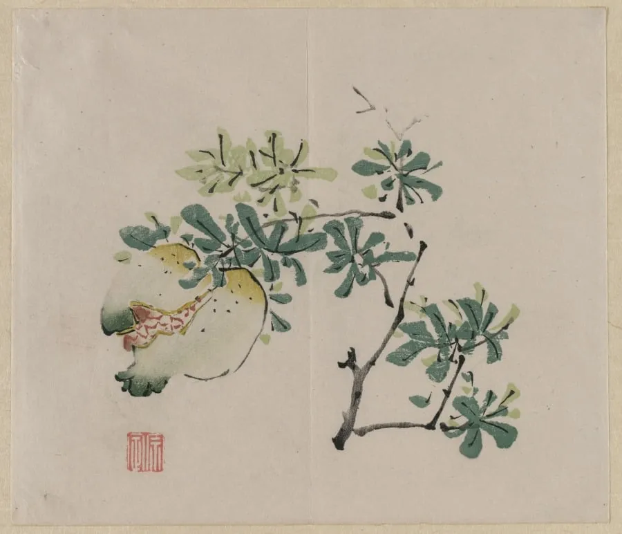 Branch with Pomegranate, by Unknown, 1750