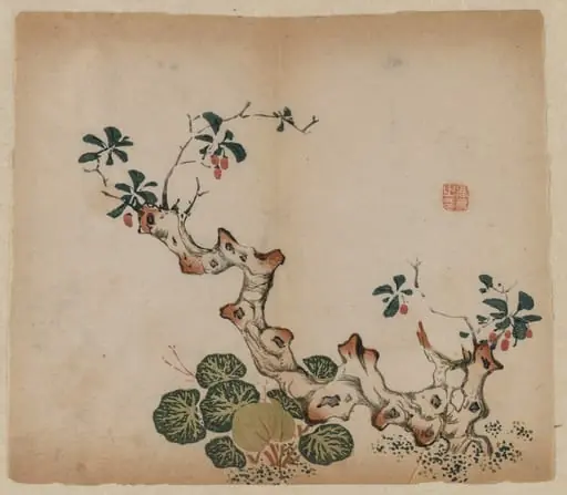 Branching Stump, by Unknown