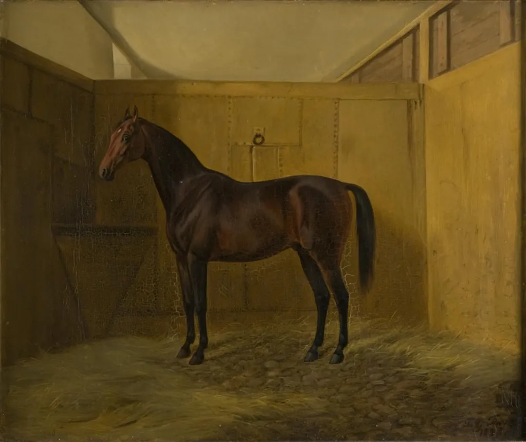 Bruno, by Unknown, 1848