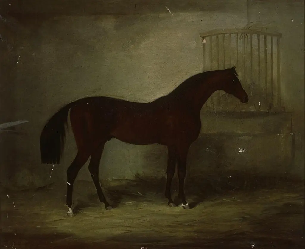 Buscot Buck in stable, by Unknown