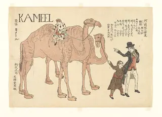 「阿蘭陀人持渡駱駝」|Camels with Dutch Handlers, by Unknown, 1821