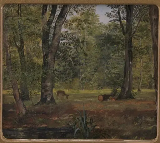 Charlottenlund Wood, North of Copenhagen, by Unknown