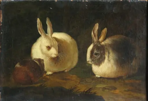 Cobai și iepuri de casă ; pandant: Cocoș, găină și iepure de casă, by Unknown