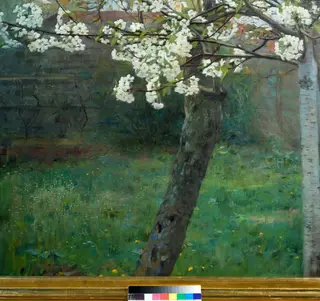 Copac înflorit, by Unknown
