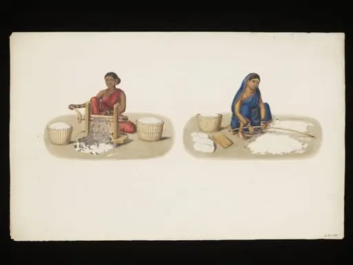 Cotton maker, by Unknown