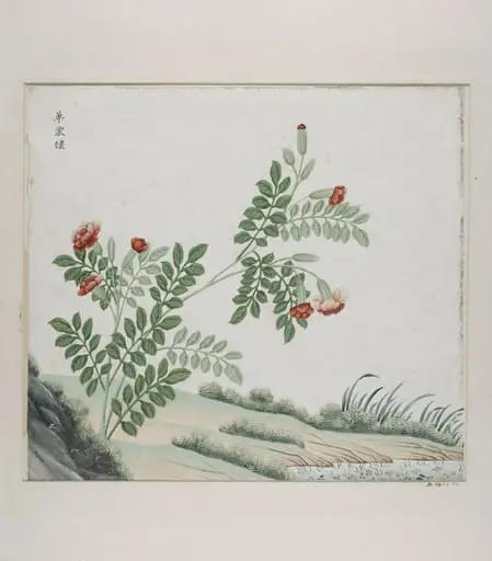 Dan tang di, by Unknown