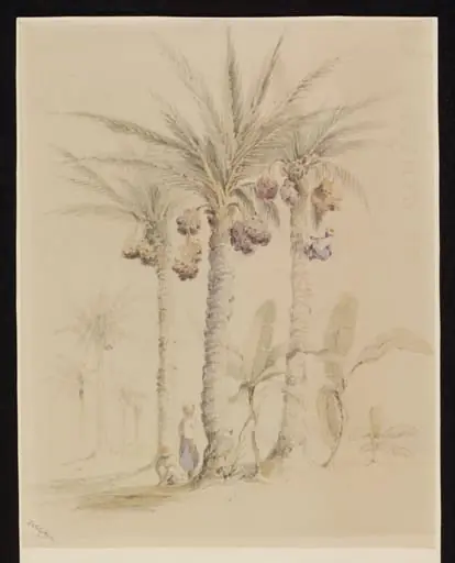 Date Gatherers, by Unknown