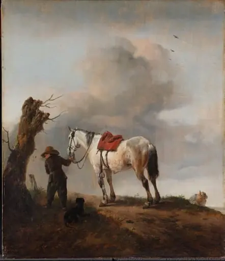 De schimmel, by Unknown