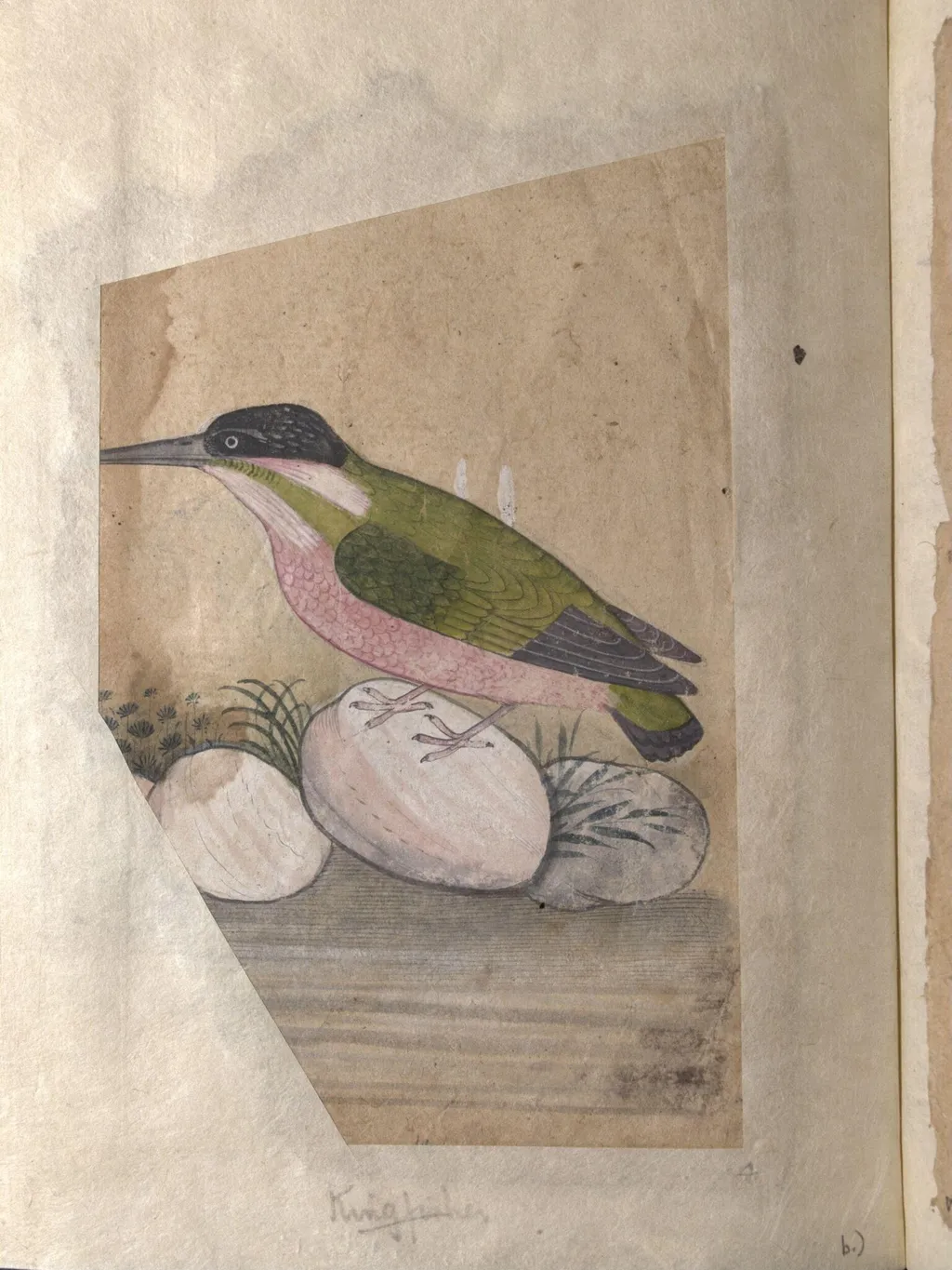 Depictions of a Plumbeous redstart and a Kingfisher of Northern India, by Unknown, paint, 1820