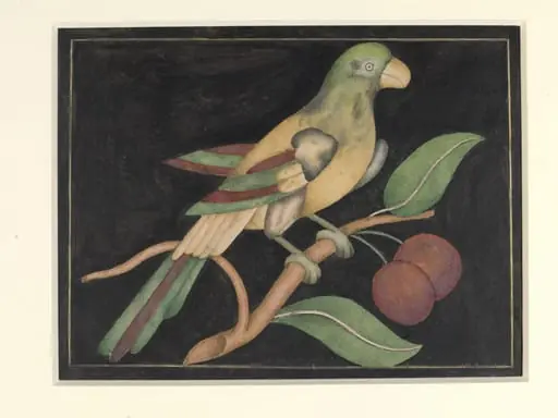 Detail of pietra dura work from the Diwan-i Am, Delhi Palace and Fort, by Unknown