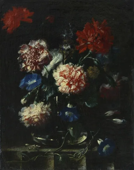 Dianthus, by Unknown, oil, 1650