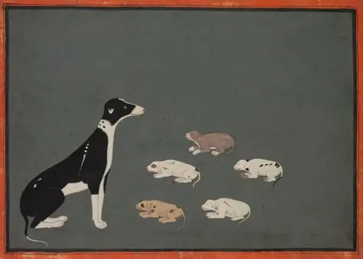 Dog with pups, by Unknown