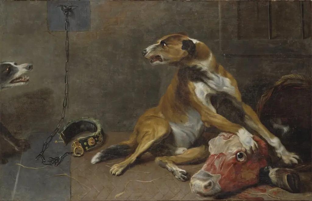 Dogs Fighting over a Flayed Ox's Head, by Unknown