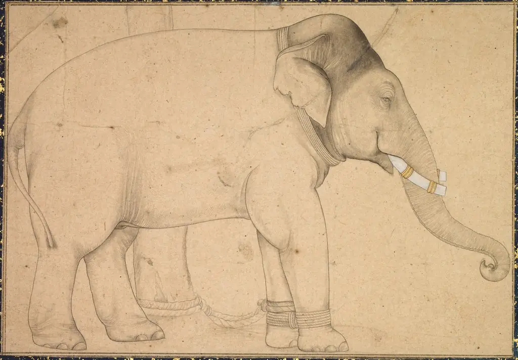 Drawing of an Elephant, by Unknown