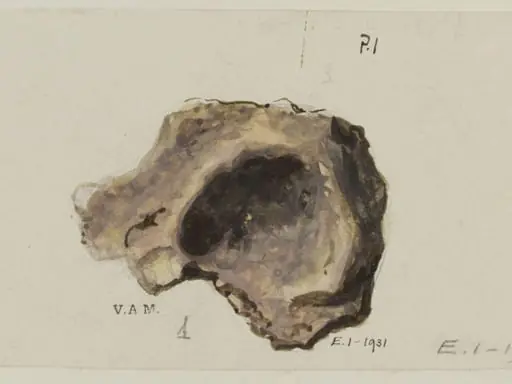 Drawing of Central Asian pottery, by Unknown