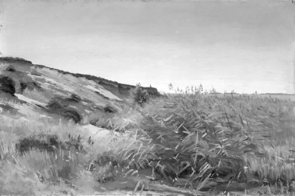 Dunes and Rushes, by Unknown, 1850