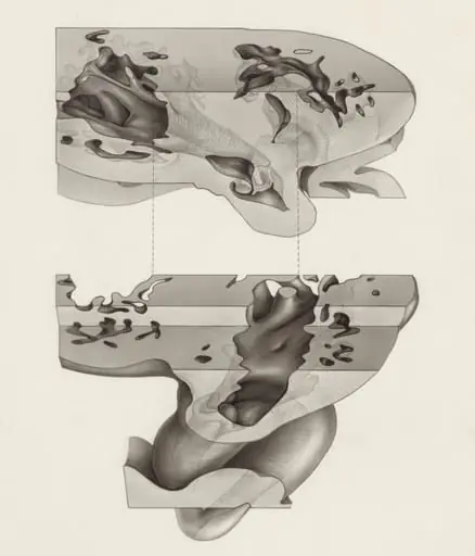 Embryonic heart, by Unknown