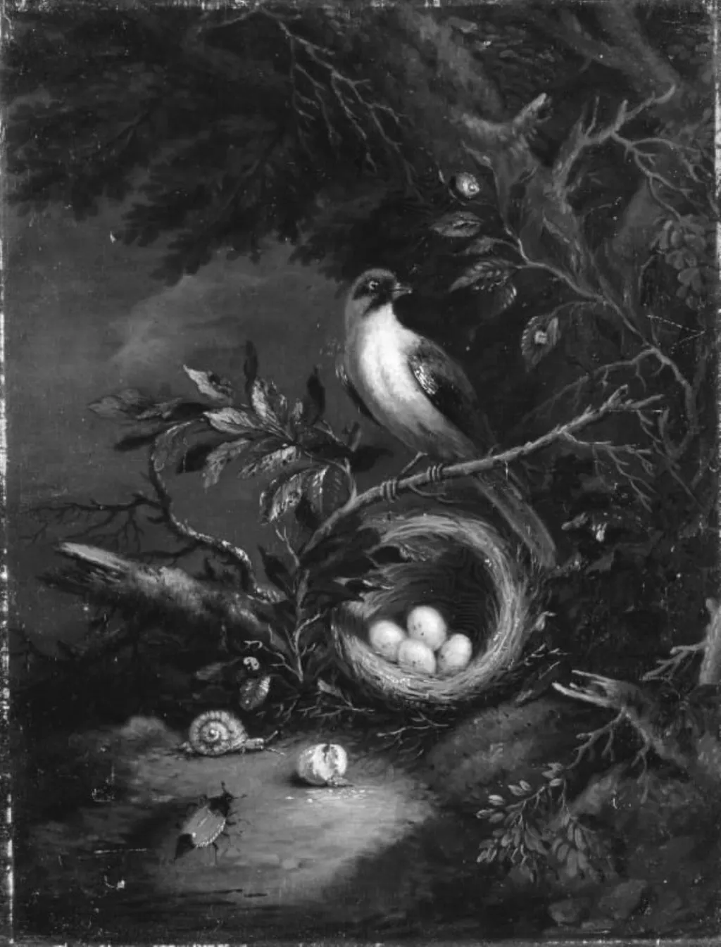 En fugl på sin rede i en skov, by Unknown, unspecified