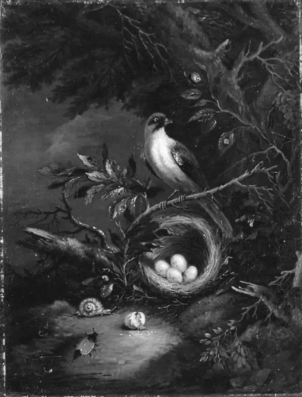 En fugl på sin rede i en skov, by Unknown, 1750