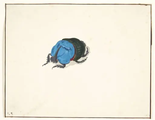 En næsehornsbille (scarabaeidae), by Unknown, 1650