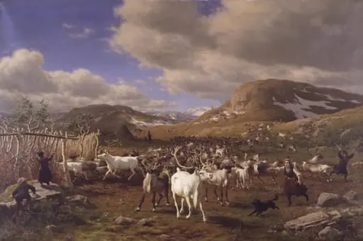 En rensdyrhjord drives til malkepladsen. Motivet fra højfjeldene nord for Røros, by Unknown