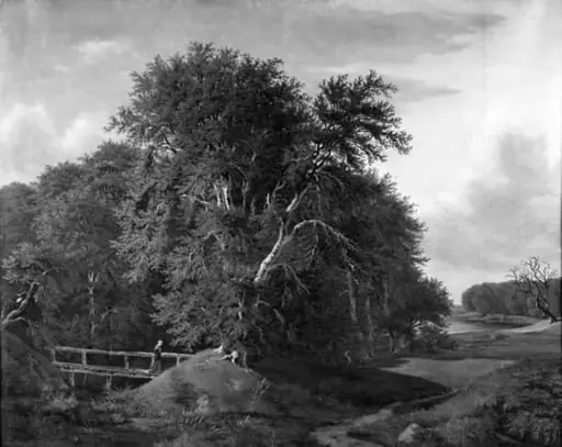 En skovegn, by Unknown