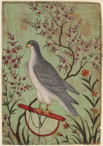 Falcon on a Perch, by Unknown