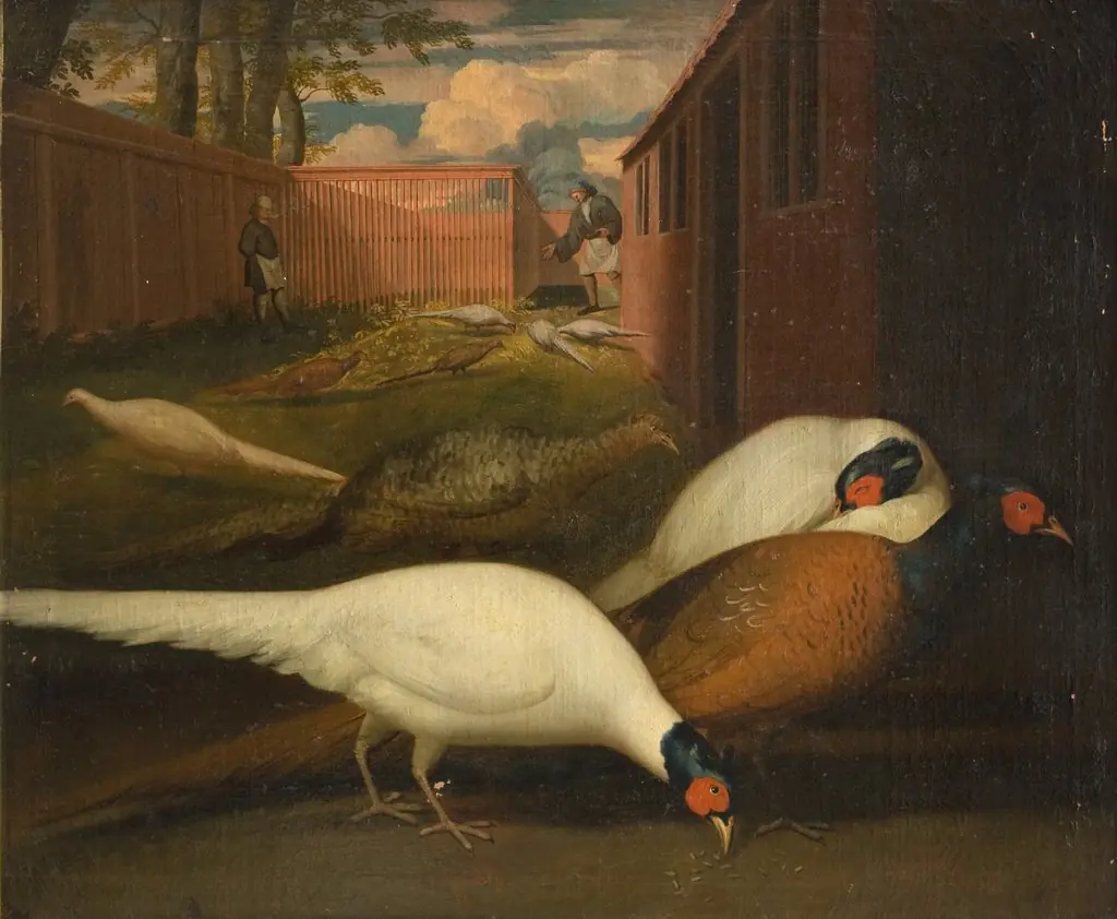 Fasaner i et indelukke, by Unknown
