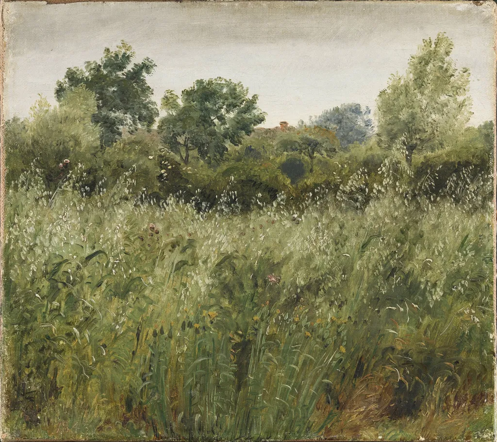 Field of Oats near Vejby, by Unknown, 1843