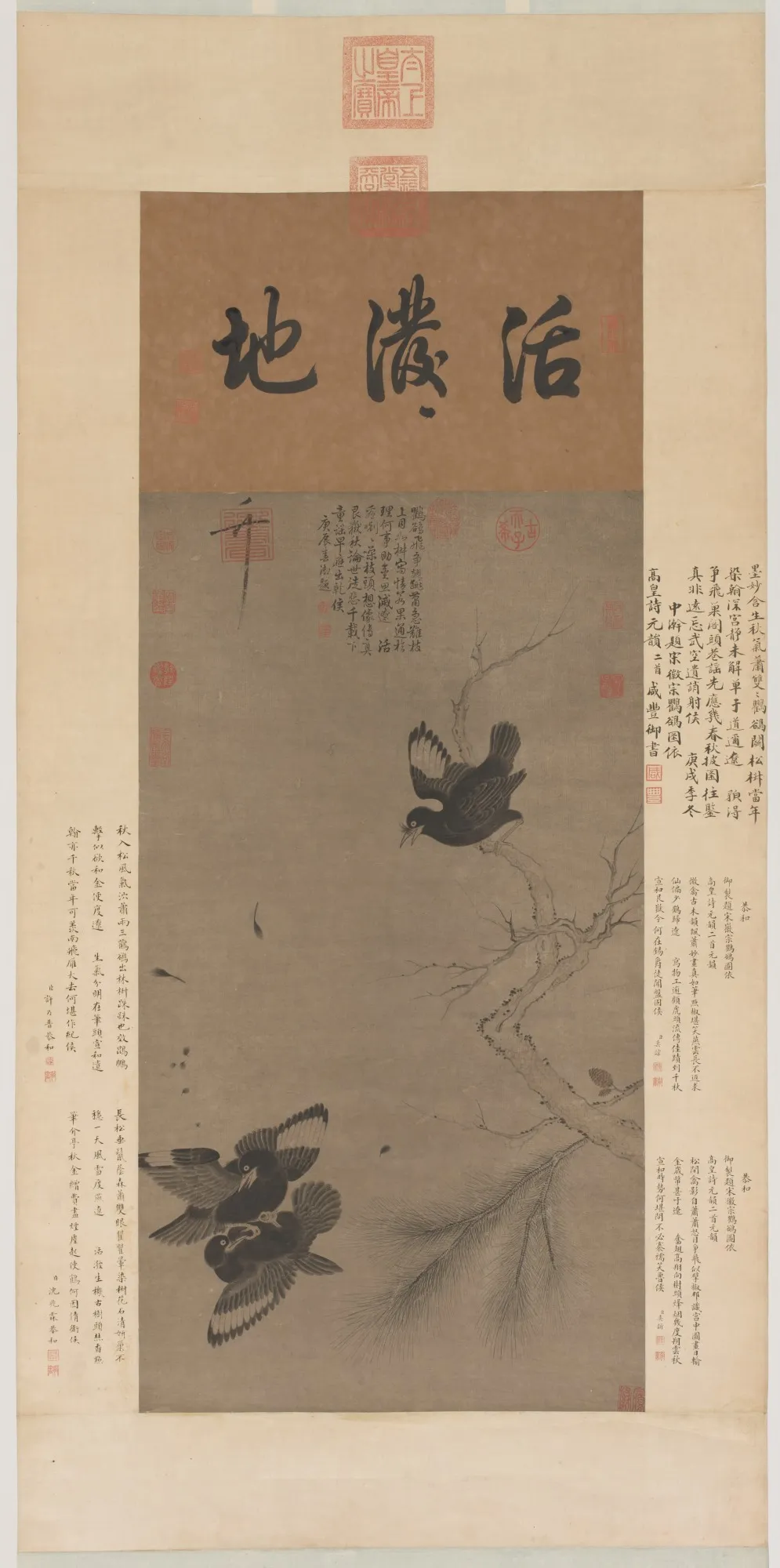 Fighting Mynah Birds, by Unknown, unspecified