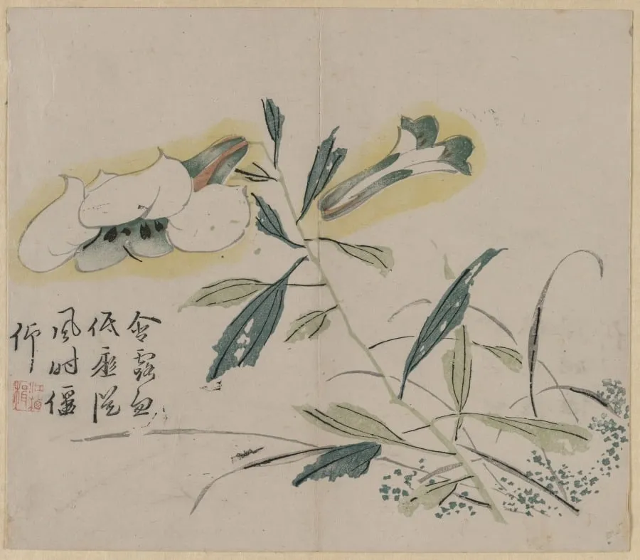 Flowering Lily, by Unknown, 1750