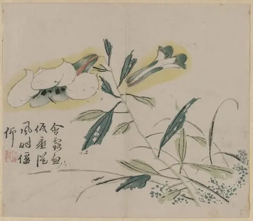 Flowering Lily, by Unknown