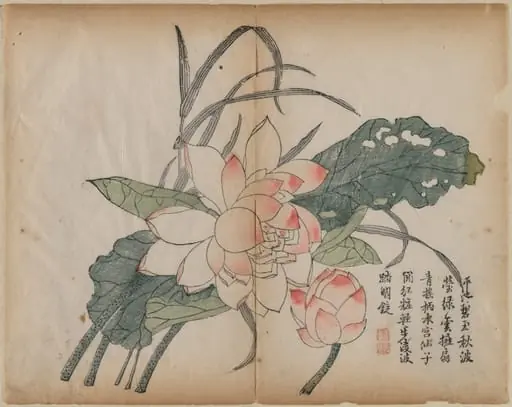 Flowering Lotus and Bud, by Unknown
