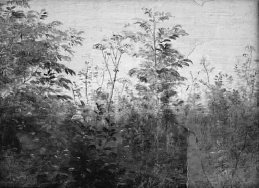Foreground Study, by Unknown