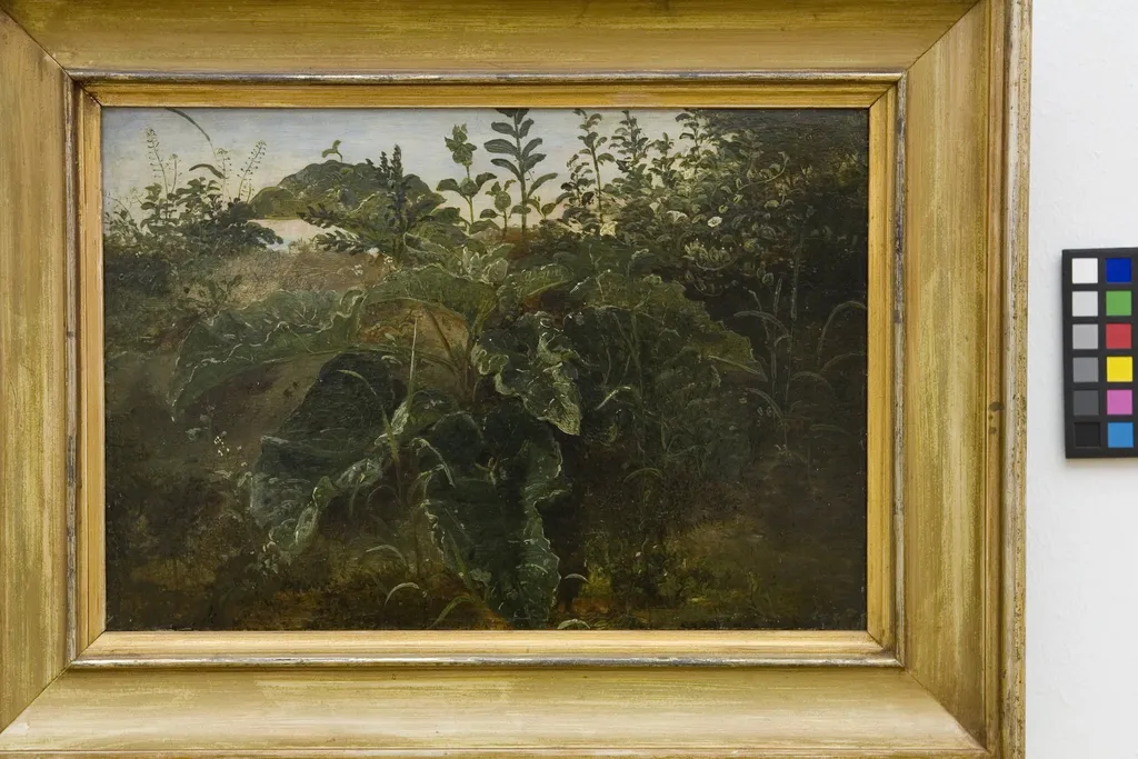 Foreground Study with Dock Leaves, by Unknown, 1850