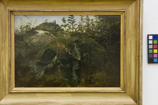 Foreground Study with Dock Leaves, by Unknown