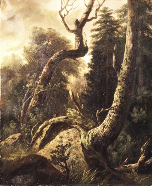Forest Landscape, by Unknown, oil, 1850