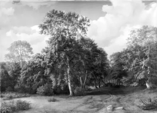 Forest Scenery from Præstevangen near Frederiksborg, by Unknown
