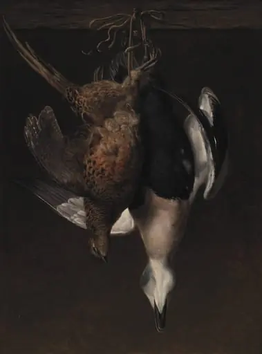 Game. A Pheasant and an Eider, by Unknown