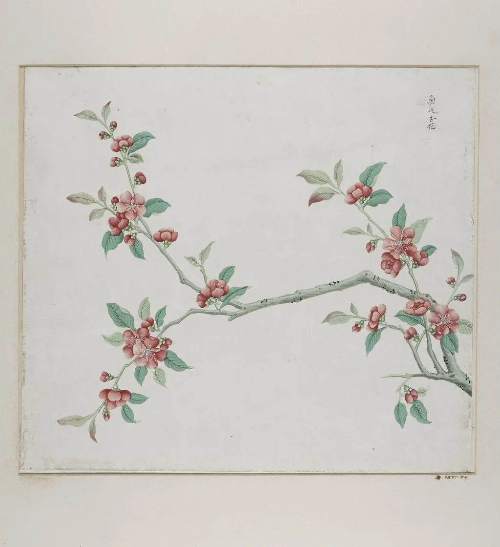 Gang bian xing hua, by Unknown, paint, 1780
