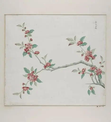 Gang bian xing hua, by Unknown