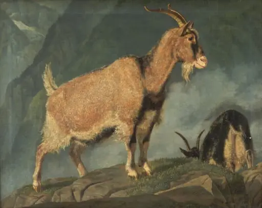 Geder i Alperne, by Unknown