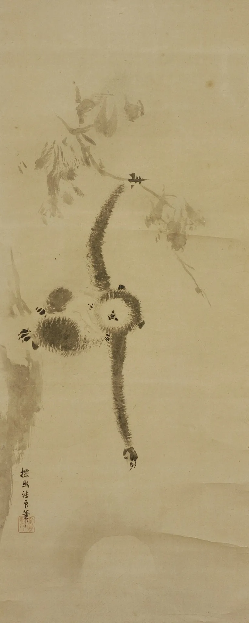 Gibbon, by Unknown, unspecified